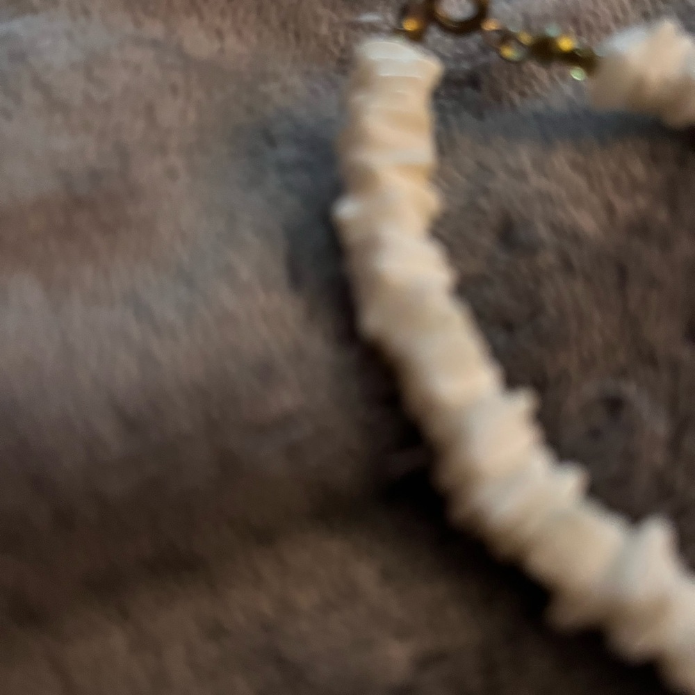 Shell Chip Bracelet - Picture 3 of 5